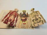 1915 Dutch Anatomy Book with Moveable Models, The human body