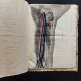 c.1830-60 Collection of Anatomical Plates, Journal des Connaissances Médico-Chirurgicale