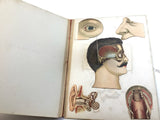 c.1890 Dutch Anatomy Book with Moveable , The Brain and the Senses of Man
