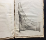 c.1830-60 Collection of Anatomical Plates, Journal des Connaissances Médico-Chirurgicale