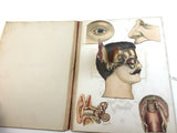 c.1890 Dutch Anatomy Book with Moveable , The Brain and the Senses of Man