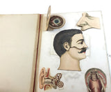 c.1890 Dutch Anatomy Book with Moveable , The Brain and the Senses of Man