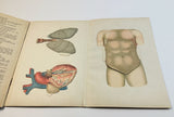 c.1900 Dutch Anatomy Book with Moveable Models, The Circulatory and Digestive System of Man