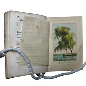 1817 Les Fleurs, Idylles by Dubos