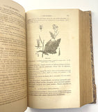 1862 Traité des Plantes Médicinales Indigènes Précédé d'un Cours de Botanique, Antonin Bossu