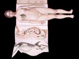 c.1900 Livre d'Or de la Santé [Anatomy/Medicine] 3 Volume Set