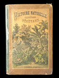 c.1870 Histoire Naturelle Illustrée Végétaux