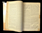 c.1870 Histoire Naturelle Illustrée Végétaux