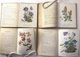 1929-36 Les Fleurs de Jardins, A. Guillaumin, Four Volumes