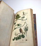 1804 1st UK Edition Elements of Botany by Barton
