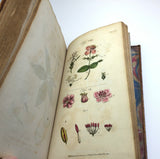1804 1st UK Edition Elements of Botany by Barton