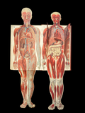 c.1900 Livre d'Or de la Santé [Anatomy/Medicine] 3 Volume Set