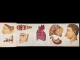 c.1900 Livre d'Or de la Santé [Anatomy/Medicine] 3 Volume Set