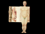 c.1900 Livre d'Or de la Santé [Anatomy/Medicine] 3 Volume Set