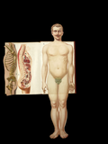 c.1900 Livre d'Or de la Santé [Anatomy/Medicine] 3 Volume Set