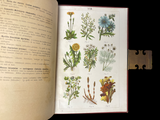c.1900 Livre d'Or de la Santé [Anatomy/Medicine] 3 Volume Set