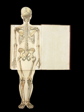 c.1900 Livre d'Or de la Santé [Anatomy/Medicine] 3 Volume Set