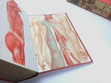 c.1900 Livre d'Or de la Santé [Anatomy/Medicine]