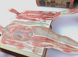 c.1900 Livre d'Or de la Santé [Anatomy/Medicine]