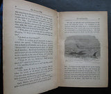 1885 Jules Verne A VOYAGE ROUND THE WORLD Illustrated 1st edition 3 Volumes in 1