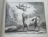 1700s Fables by Mr. Gay, 2 Volume, Engravings