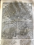 1544 La Comedia, Dante Alighieri, 1st Vellutello Ed.