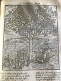 1544 La Comedia, Dante Alighieri, 1st Vellutello Ed.