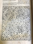 1544 La Comedia, Dante Alighieri, 1st Vellutello Ed.