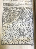 1544 La Comedia, Dante Alighieri, 1st Vellutello Ed.