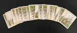 c.1880 Dondorf Patience Cards (33/52)