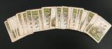 c.1880 Dondorf Patience Cards (33/52)
