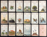 c.1920 Lenormand Cards, Müller, 35/36
