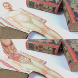 c.1900 Livre d'Or de la Santé [Anatomy/Medicine]
